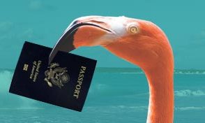 flamingo_passport